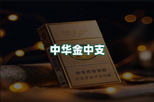 中华金中支